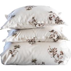 Asta Senges�t AW26