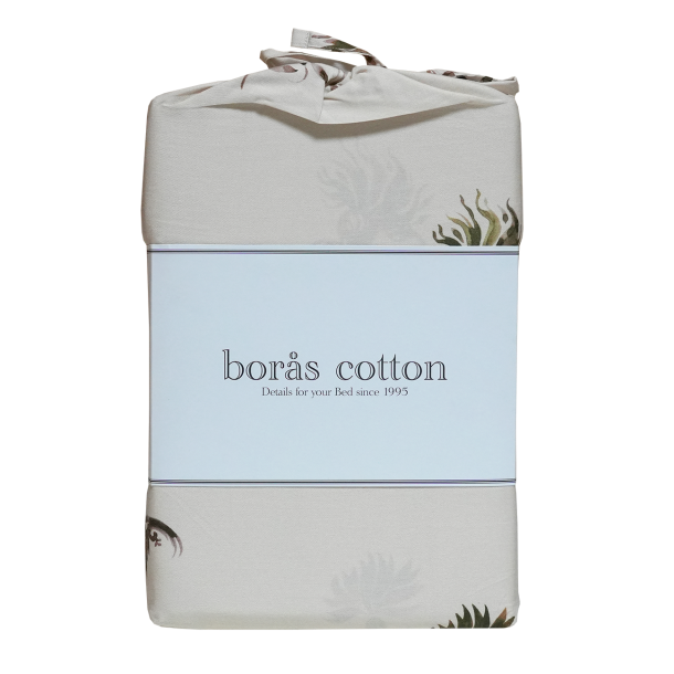 Asta Senges�t AW26