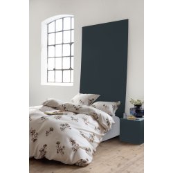 Asta Senges�t AW26