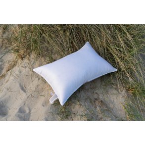 BAAG� 3 Chamber Pillow