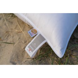 BAAG� 3 Chamber Pillow