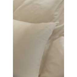 Enjoy Champagne AW25