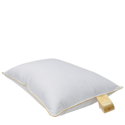 RM 3 Chamber Pillow