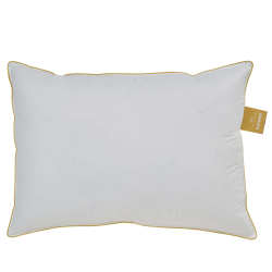 RM 3 Chamber Pillow