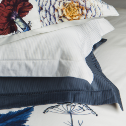 TURISTRIPA Pudebetrk